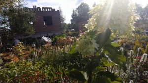 Обзор участка, 20 августа 2025