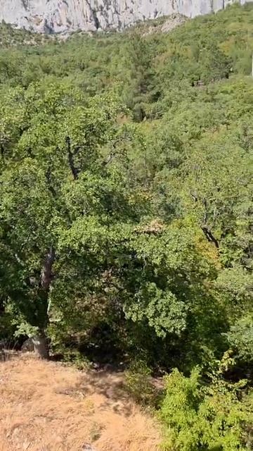 Продажа участка 10 сот. в пгт Санаторное смотреть онлайн