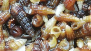 Дёшево и сердито