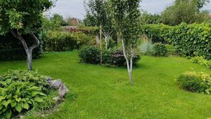 Сад. Август.