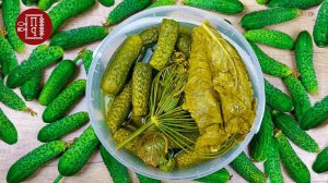 Хрустящие Малосольные ОГУРЦЫ ЗА 24 ЧАСА  /// САМЫЙ ВКУСНЫЙ РЕЦЕПТ