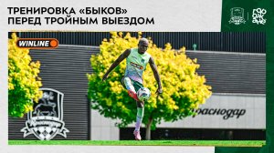 Тренировка «быков» перед тройным выездом