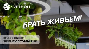 Интерьерное освещение - Живые светильники (Svetholl)