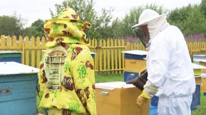 О необходимости маркировать ульи напомнили вологодским пчеловодам