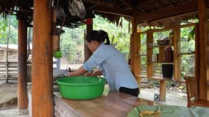 Harvesting Chives & Red Amaranth - How Make Delicious Fried Eggs with Chives to Sell.Trieu Mai Huong