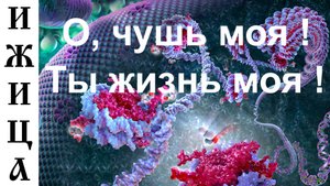 О, чушь моя ! Ты жизнь моя !  (Или: Отдупли́лись)