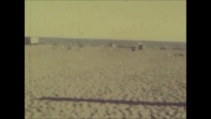 1989-8 ЗЕЛЕНОГОРСК: ПРОГУЛКА