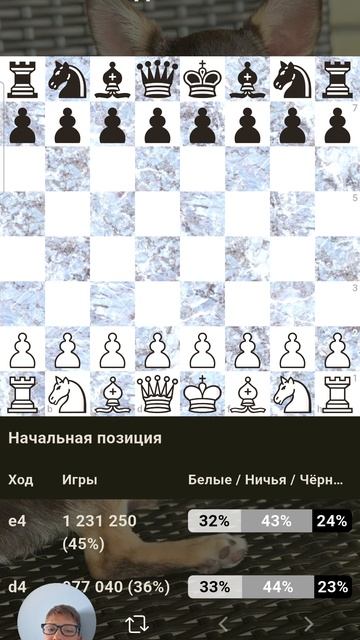 Главный секрет шахмат !!!