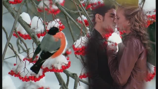 СНЕГИРИ смотреть онлайн