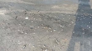 Из Москвы во Владивосток на велосипеде 2025 - 06.26 - 07.06 - Западная Сибирь ___ Phone UNCUT