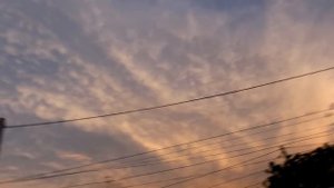 vlog 13.08☀️  ДОСТАЛИ ВЕЛИКИ / ДОЖДЬ / СЫРНИКИ / ВЫШИВАЮ