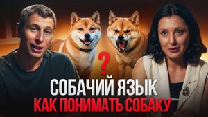Собачий язык: лай, хвост и команды. 300 слов предел?!