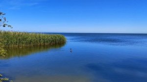 Куршская коса, пос. Лесной, правая сторона