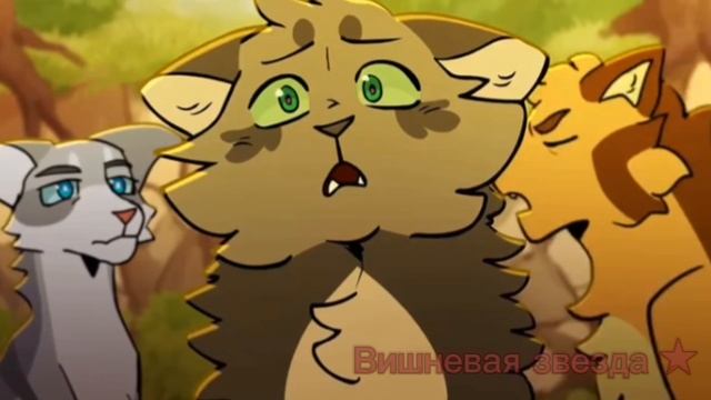 Мап с искрой/Искра и голубка/коты воители/название песни в описании смотреть онлайн