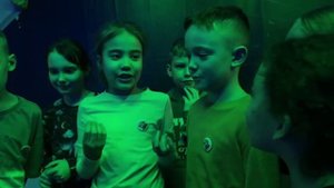 Киберфокс! отзывы