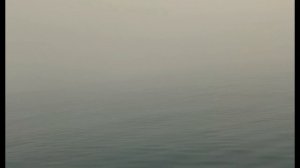 Викинги Русы на Ладоге