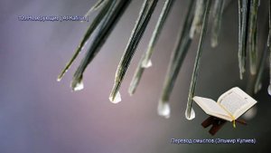 Священной Коран - Смысловой перевод на русский язык (Эльмир Кулиев) - 109. Неверующие (Al-K