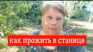 #66🌷Цены на фрукты и овощи в станице недешевые/Вечерний полив