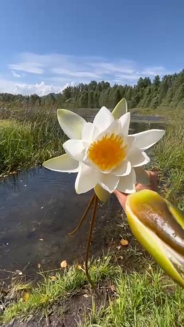 Поездка на Карагайкуль 2025 смотреть онлайн