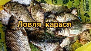 СОРВАЛАСЬ КРУПНАЯ РЫБА, 🦈 НО АДРЕНАЛИН ПОЛУЧИЛИ 😀👍 ЛОВЛЯ КАРАСЯ НА ЧЕРВЯ 🪱