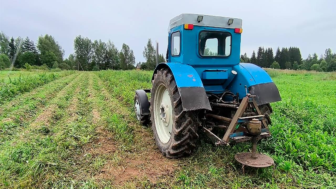Трактор Т-40/ Покос Ботвы 2025 смотреть онлайн
