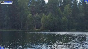 Поздравление Андрюхе с праздничным заплывом 20.08.2025 #юныйпрадедбодрыйдед #авсарх