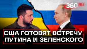 Когда может пройти встреча Владимира Путина и Зеленского?