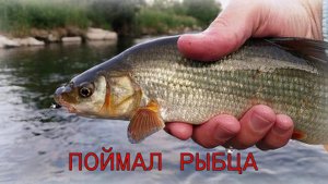 РЫБАЛКА НА КОЛЬЦО В НЕПОГОДУ!ЛЕЩ КЛЕВАЛ КАК СУМАСШЕДШИЙ!ПОЙМАЛ РЫБУ РЫБЕЦ!
