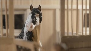 Моя часть на map (шляйх, schleich).