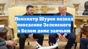 Психиатр Шуров назвал поведение Зеленского в Белом доме заячьим