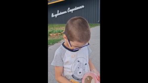 Название работы "Вместе за безопасностью"