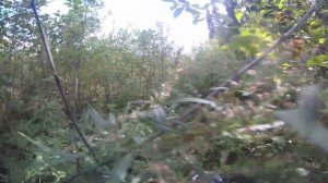 Испытания на прочность CAIDI