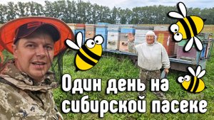 Один день на Сибирской пасеке