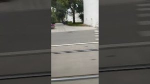 Поездки в общественном транспорте | 20-авг-2025, 2