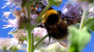 Как монетизировать фотографию.