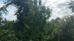 VID_20250820_134417.mp4