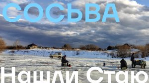 Сосьва,нашли Стаю Уклейки.