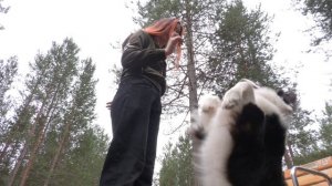 Программа "Эти удивительные создания", 19 августа 2025 г.