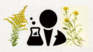 Почему еда становится менее питательной?