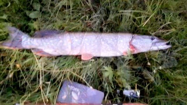 ТРЕЙЛЕР КАНАЛА