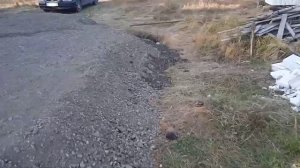 Отсыпка участка грунтом тачкой