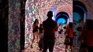 Парк Облаков. Локация "Кроличья нора". Краснодар. август 2025г.