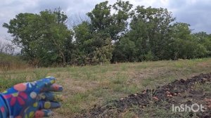 21.08.2025.влог...закончили с картошкой//// возмущаюсь