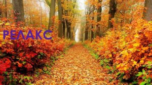 Красивый Музыкальный Осенний Релакс - 90 минут релаксации.