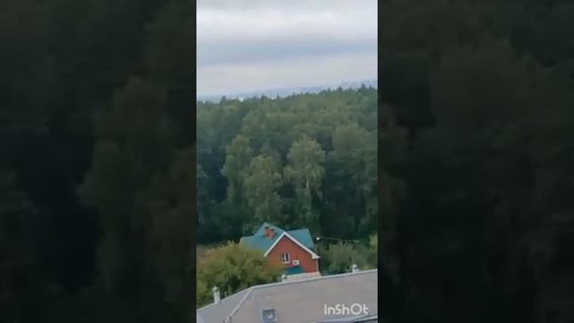 СПАСЕНИЕ УРАЛЬСКОГО ЛЕСА...видео от Анны...ИНГА ХОСРОЕВА. смотреть онлайн