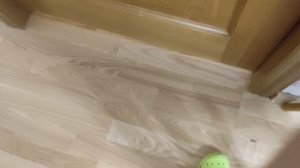 Тимофей, Лили и Бася