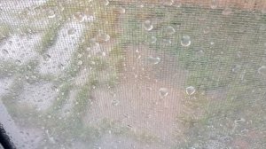 Только откачал и опять дождь 😫🤦♂️🙂