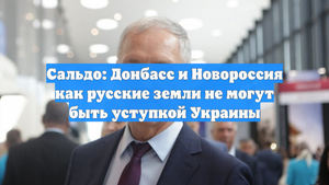 Сальдо: Донбасс и Новороссия как русские земли не могут быть уступкой Украины