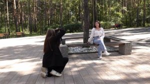 Время новостей от 20 августа 2025 года.