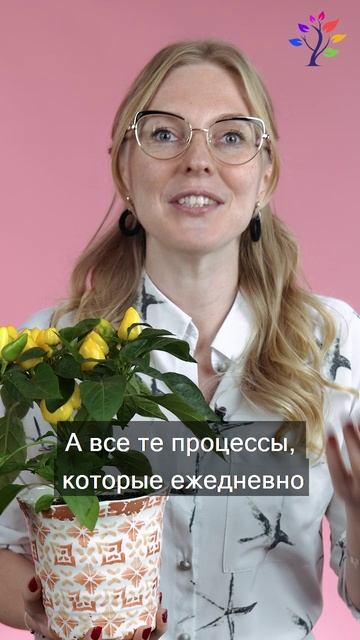 Переходи в тг по ссылке в профиле смотреть онлайн